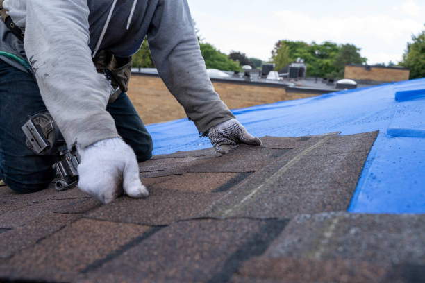 Best New Roof Installation  in Walnut Creek, NC